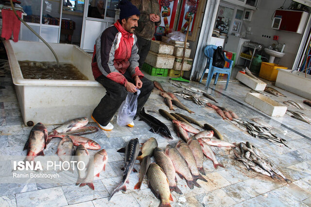 واپسین روزهای پاییز و رونق بازار ماهی فروشان بندرترکمن