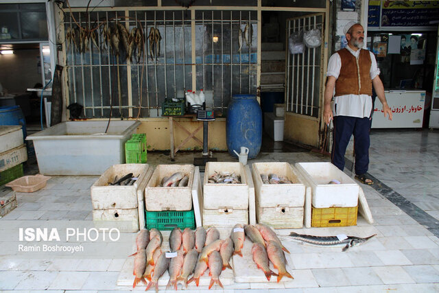 واپسین روزهای پاییز و رونق بازار ماهی فروشان بندرترکمن