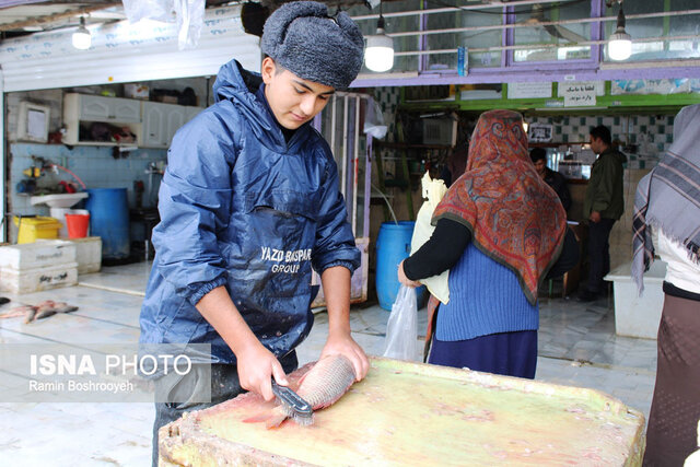 واپسین روزهای پاییز و رونق بازار ماهی فروشان بندرترکمن