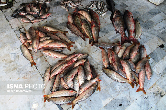 واپسین روزهای پاییز و رونق بازار ماهی فروشان بندرترکمن
