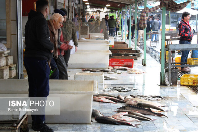 واپسین روزهای پاییز و رونق بازار ماهی فروشان بندرترکمن