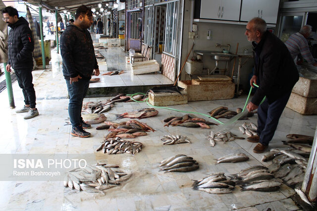 واپسین روزهای پاییز و رونق بازار ماهی فروشان بندرترکمن