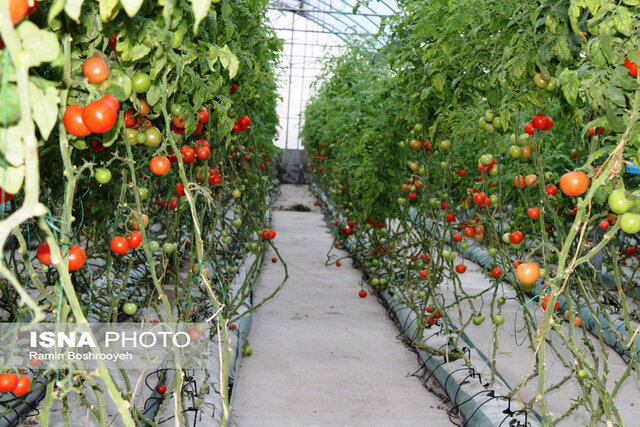 سفر وزیر جهاد کشاورزی به گلستان