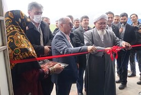 خدمات رایگان دندانپزشکی به مادران و کودکان مناطق محروم گلستان