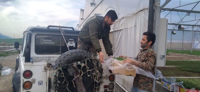 تحویل ۷۶ هزار اصله نشاء گیاهان دارویی به منابع طبیعی گلستان