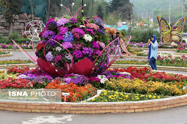 گرگان و گلستان های رنگارنگ/ گرگان میزبان فرش گل