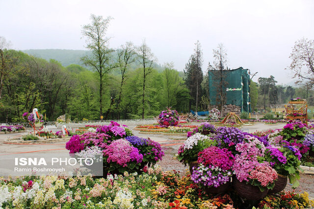 چه بر سر تنها آبشار سوخته جهان میآید؟/ گرگان محروم از اِلمان شهری