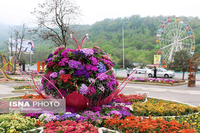 گرگان و گلستان های رنگارنگ/ گرگان میزبان فرش گل