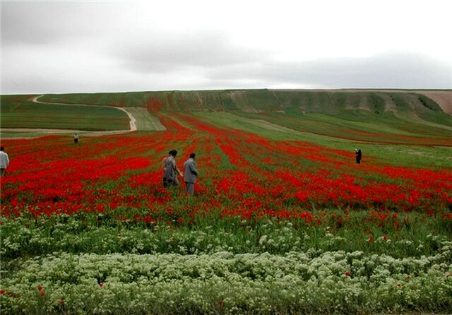 کلاله رتبه اول بومگردی گلستان/ سکونت ۸۰۰ هزار نفر در بومگردیهای کلاله