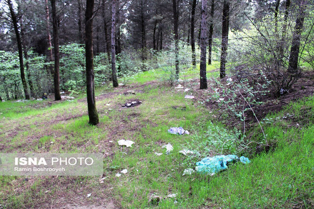سیزده بدر روز بیمهری به طبیعت گلستان