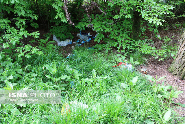 سیزده بدر روز بیمهری به طبیعت گلستان