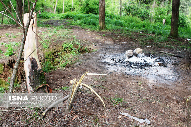 سیزده بدر روز بیمهری به طبیعت گلستان