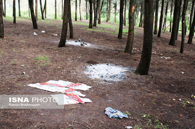 سیزده بدر روز بیمهری به طبیعت گلستان