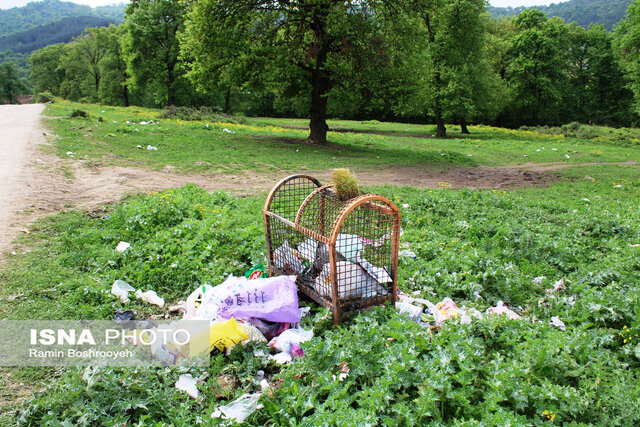 سیزده بدر روز بیمهری به طبیعت گلستان