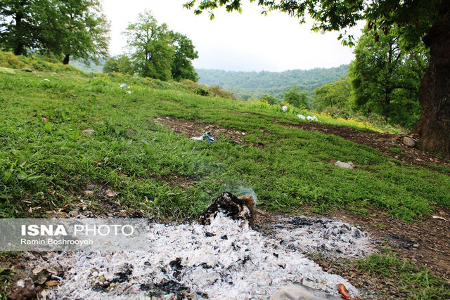 سیزده بدر روز بیمهری به طبیعت گلستان