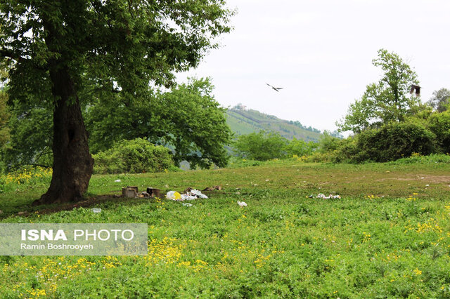 سیزده بدر روز بیمهری به طبیعت گلستان
