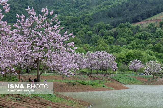 آبگیر رویایی توشَن گرگان
