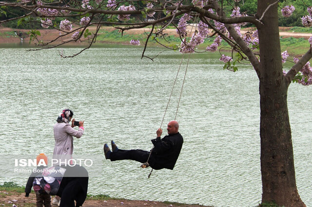 آبگیر رویایی توشَن گرگان