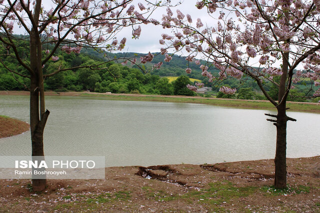 آبگیر رویایی توشَن گرگان