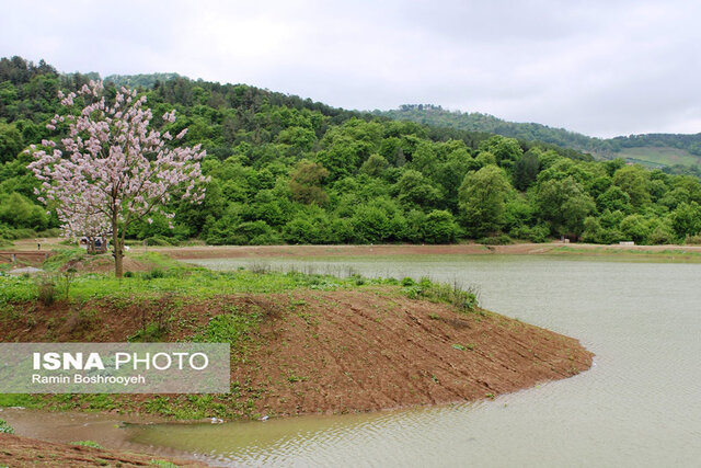 آبگیر رویایی توشَن گرگان