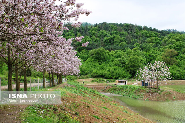 آبگیر رویایی توشَن گرگان