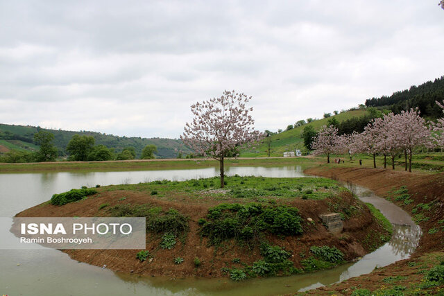 آبگیر رویایی توشَن گرگان