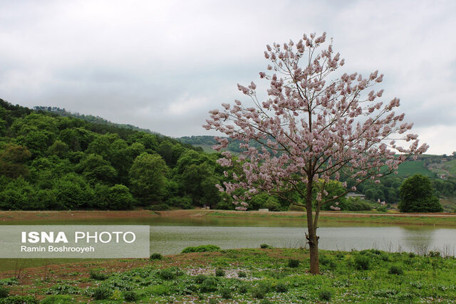 آبگیر رویایی توشَن گرگان