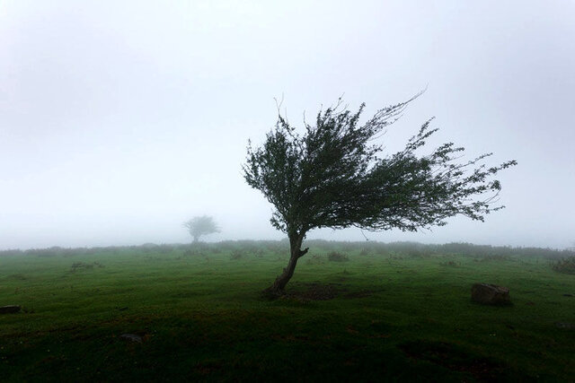 تندباد در گلستان خسارتی نداشت