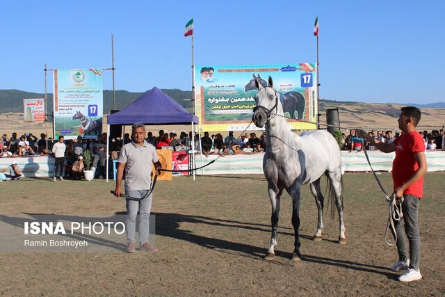 هفدهمین جشنواره ملی زیبایی اسب اصیل ترکمن - صوفیان کلاله