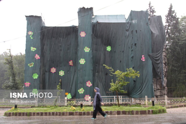 چه بر سر تنها آبشار سوخته جهان میآید؟/ گرگان محروم از اِلمان شهری