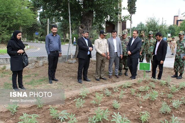افتتاح مزرعه گیاهان دارویی ارتش در گرگان