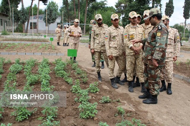 مهارت آموزی کارکنان وظیفه ارتش در گرگان/ ۱۰۲۱ سرباز مدرک گرفتند مهارت آموزی کارکنان وظیفه ارتش در گرگان/ ۱۰۲۱ سرباز مدرک گرفتند