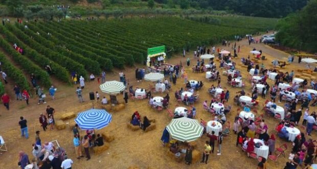 کسب درآمد با رام کردن تمشکهای وحشی در گلستان