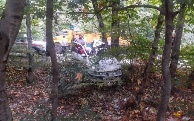 گره کور تعریض جاده جنگل گلستان کجاست؟