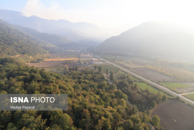 گره کور تعریض جاده جنگل گلستان کجاست؟