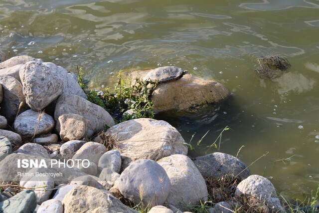 آببندان محمدآباد گرگان در یک روز پاییزی
