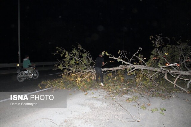 طوفان گلستان را درنوردید/ وزش باد شدید و یک شب پراسترس
