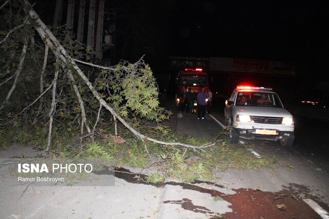 طوفان گلستان را درنوردید/ وزش باد شدید و یک شب پراسترس