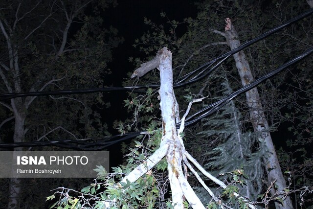 طوفان گلستان را درنوردید/ وزش باد شدید و یک شب پراسترس