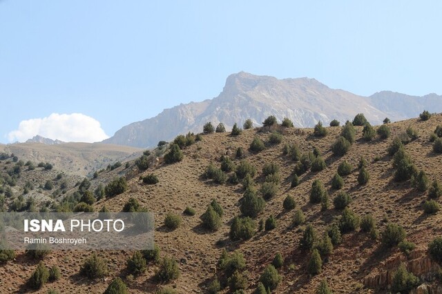 «قله گاوکشان» بام گلستان