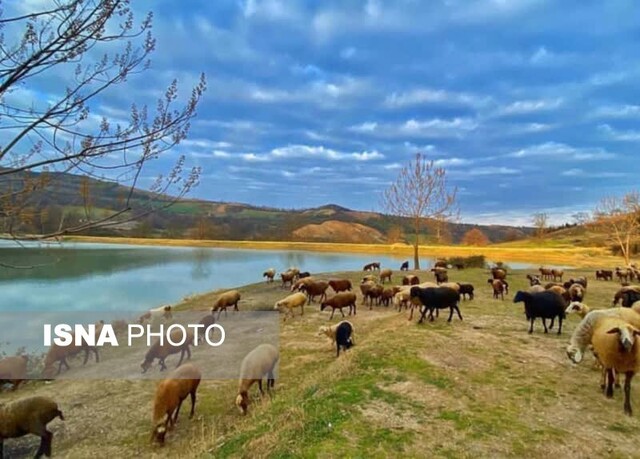 «توشن» یک پیشنهاد رویایی برای گذران یک جمعه پائیزی