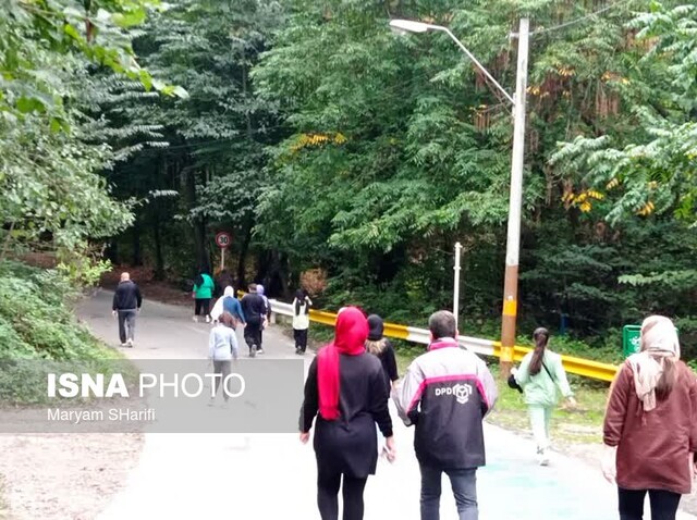 عشوه پاییز در جنگل «النگدره» گرگان