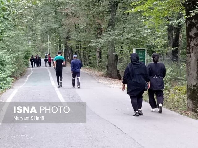 عشوه پاییز در جنگل «النگدره» گرگان