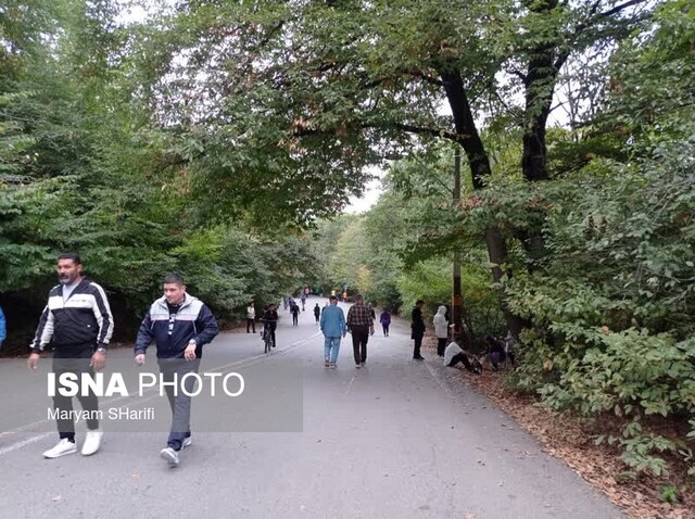 عشوه پاییز در جنگل «النگدره» گرگان
