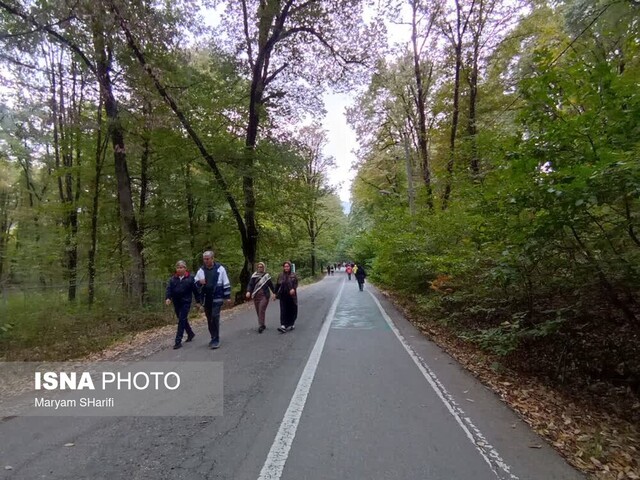 عشوه پاییز در جنگل «النگدره» گرگان