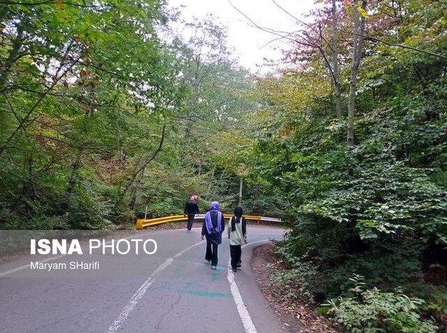 عشوه پاییز در جنگل «النگدره» گرگان