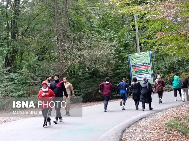 عشوه پاییز در جنگل «النگدره» گرگان