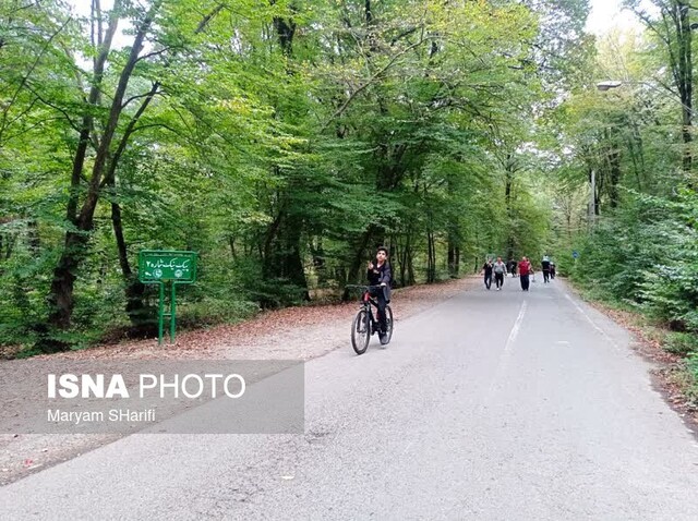 عشوه پاییز در جنگل «النگدره» گرگان
