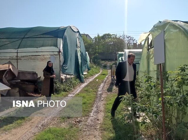 کارآفرینی زوج دانشجوی گلستانی در محیط دانشگاه/ از کافی شاپ تا پرورش گل و گیاه