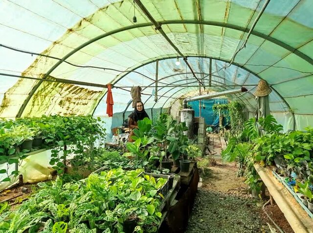 کارآفرینی زوج دانشجوی گلستانی در محیط دانشگاه/ از کافی شاپ تا پرورش گل و گیاه